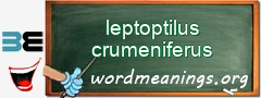 WordMeaning blackboard for leptoptilus crumeniferus